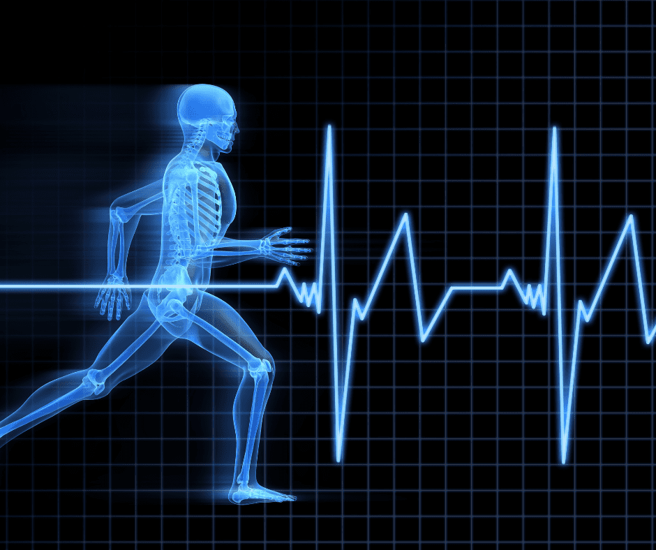 How Increased Levels Of Exercise Combined With Protein Consumption Reduces The Impact Of Sarcopenia